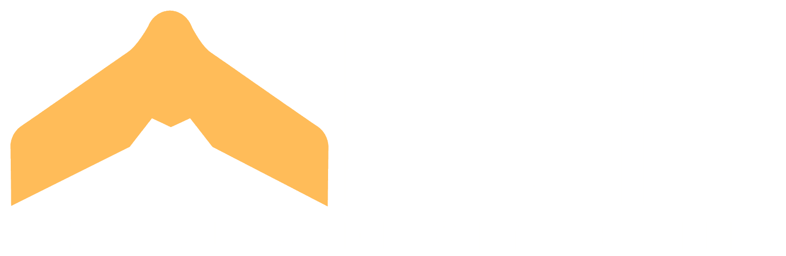 TSR — AERIAL & ENGINEERING